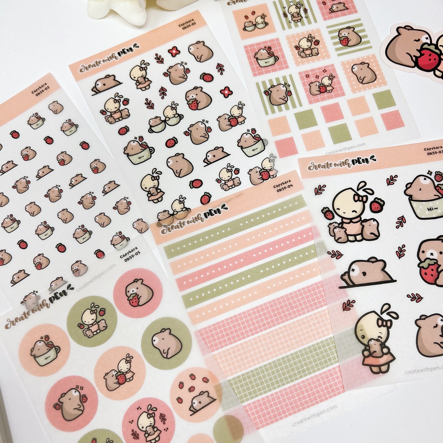 KIT59 | Capybara